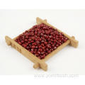 Red Bean Healthy